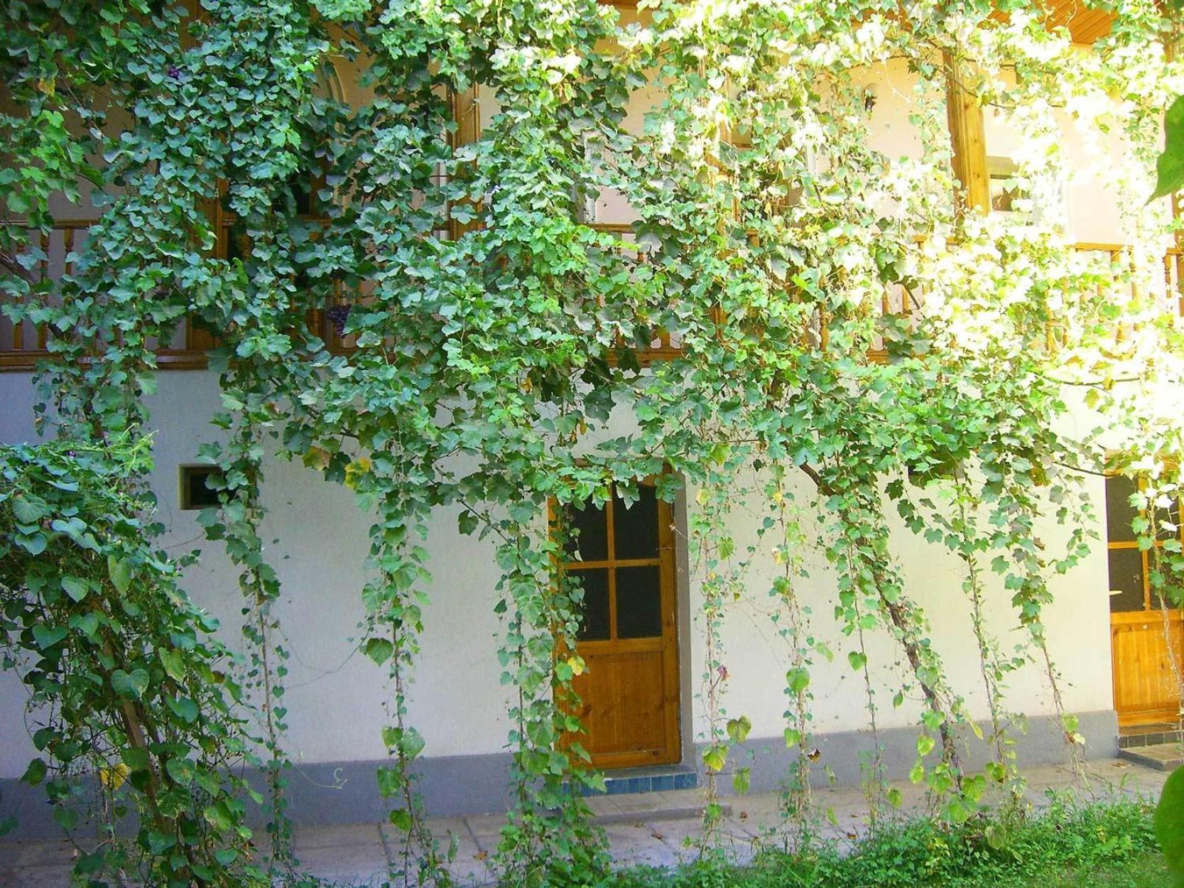 Jahongir Bed and Breakfast Σαμαρκάνδη Εξωτερικό φωτογραφία