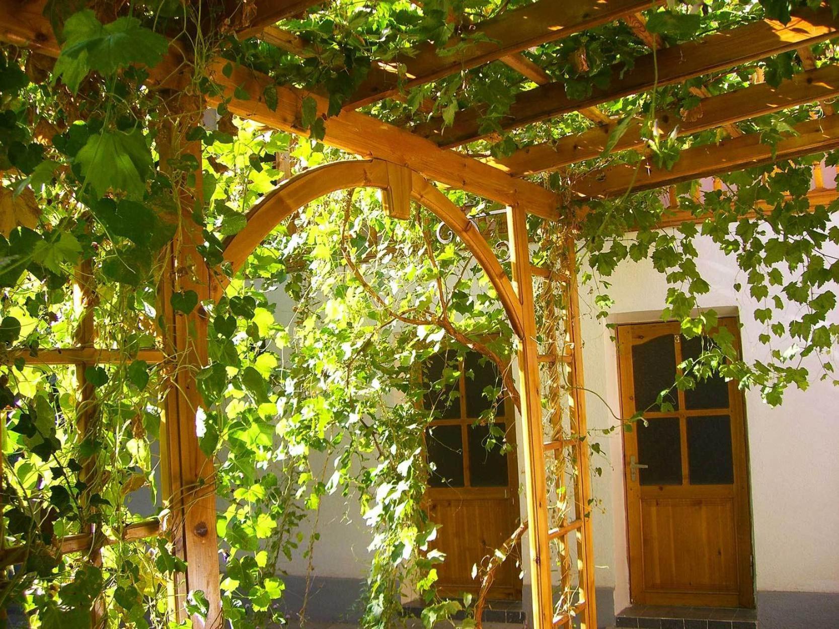 Jahongir Bed and Breakfast Σαμαρκάνδη Εξωτερικό φωτογραφία