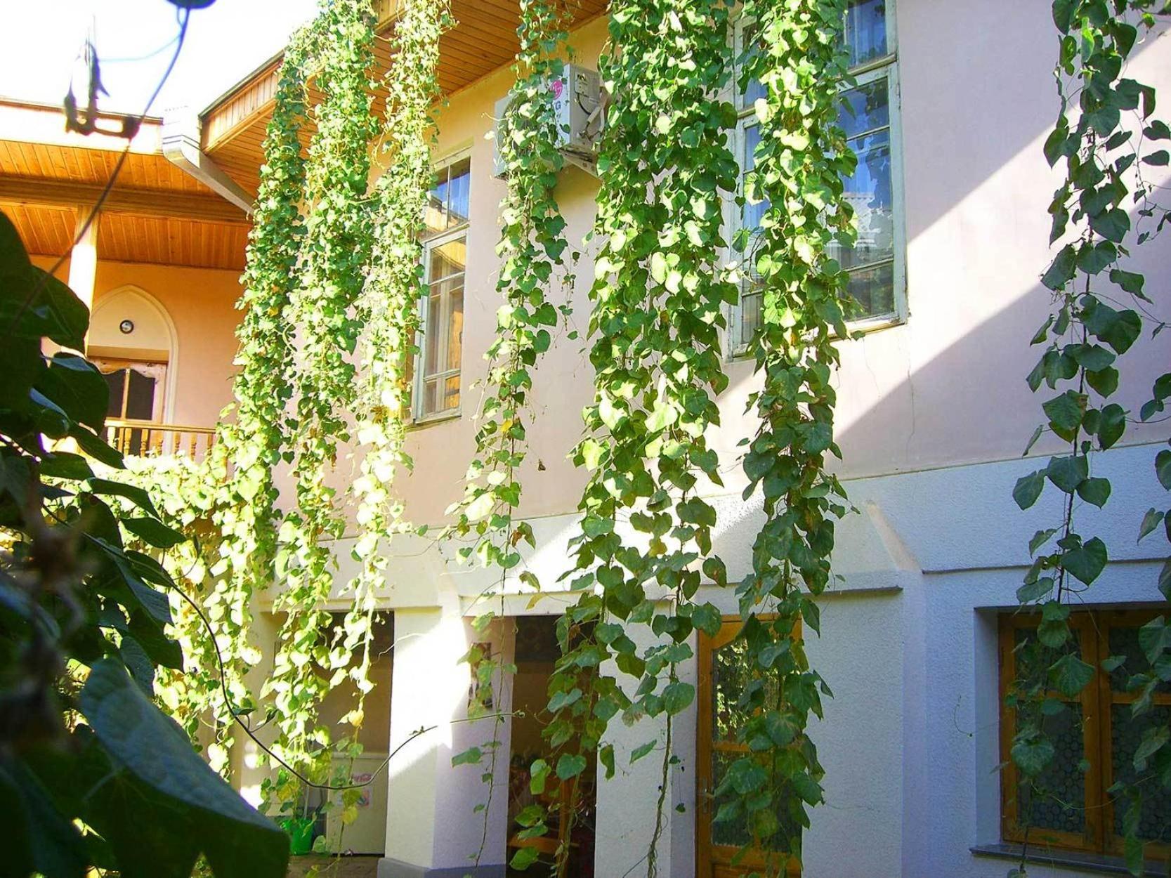Jahongir Bed and Breakfast Σαμαρκάνδη Εξωτερικό φωτογραφία