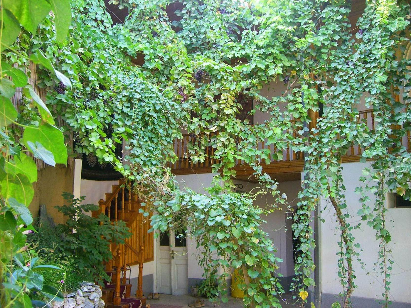 Jahongir Bed and Breakfast Σαμαρκάνδη Εξωτερικό φωτογραφία