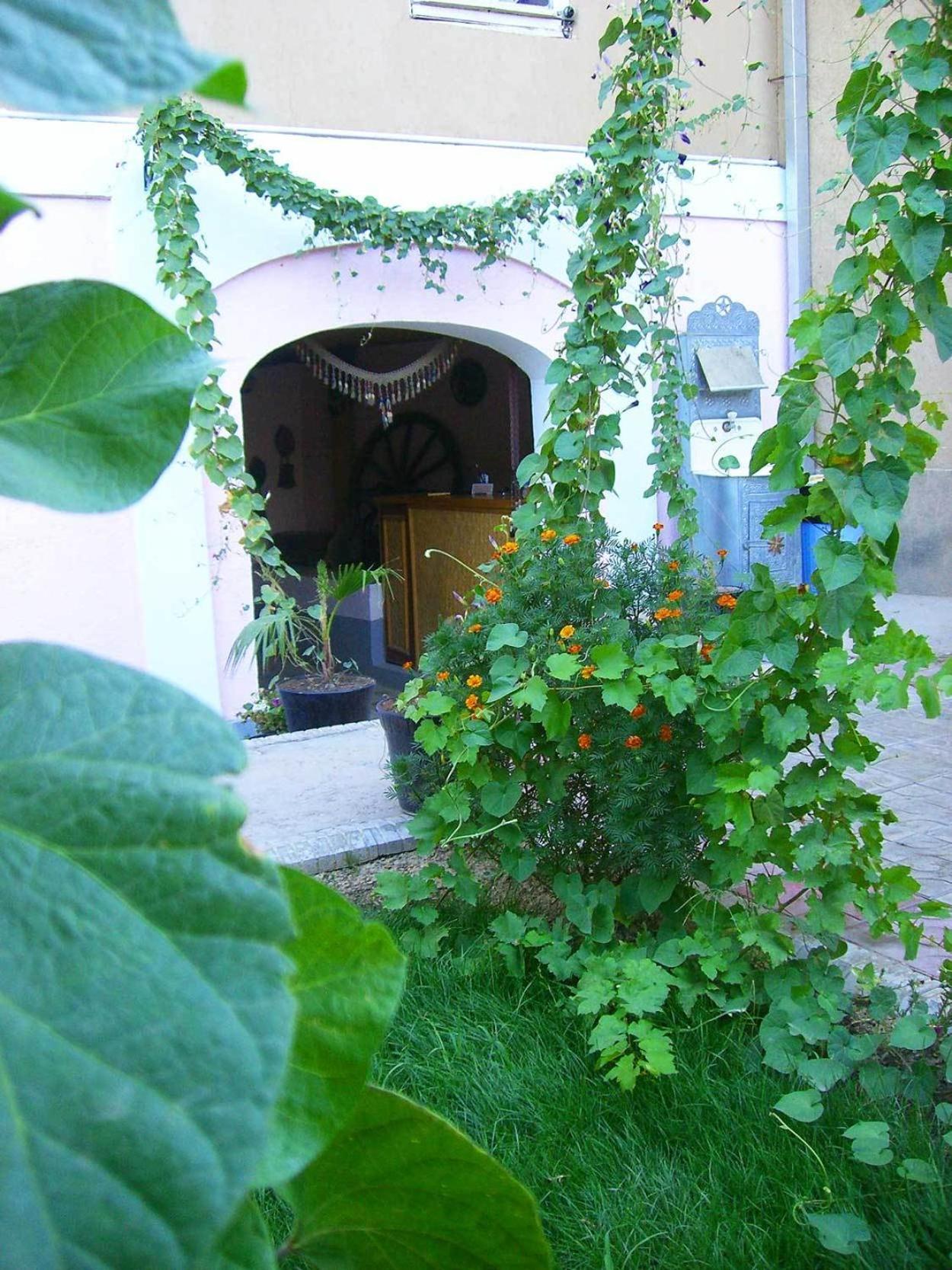 Jahongir Bed and Breakfast Σαμαρκάνδη Εξωτερικό φωτογραφία