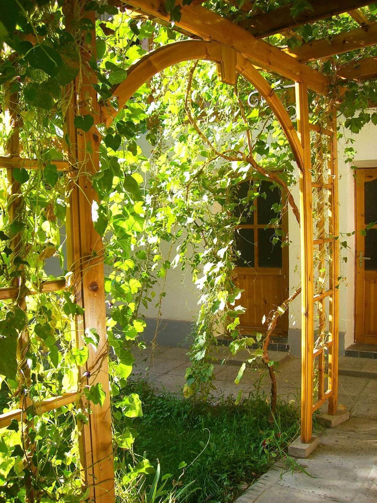 Jahongir Bed and Breakfast Σαμαρκάνδη Εξωτερικό φωτογραφία