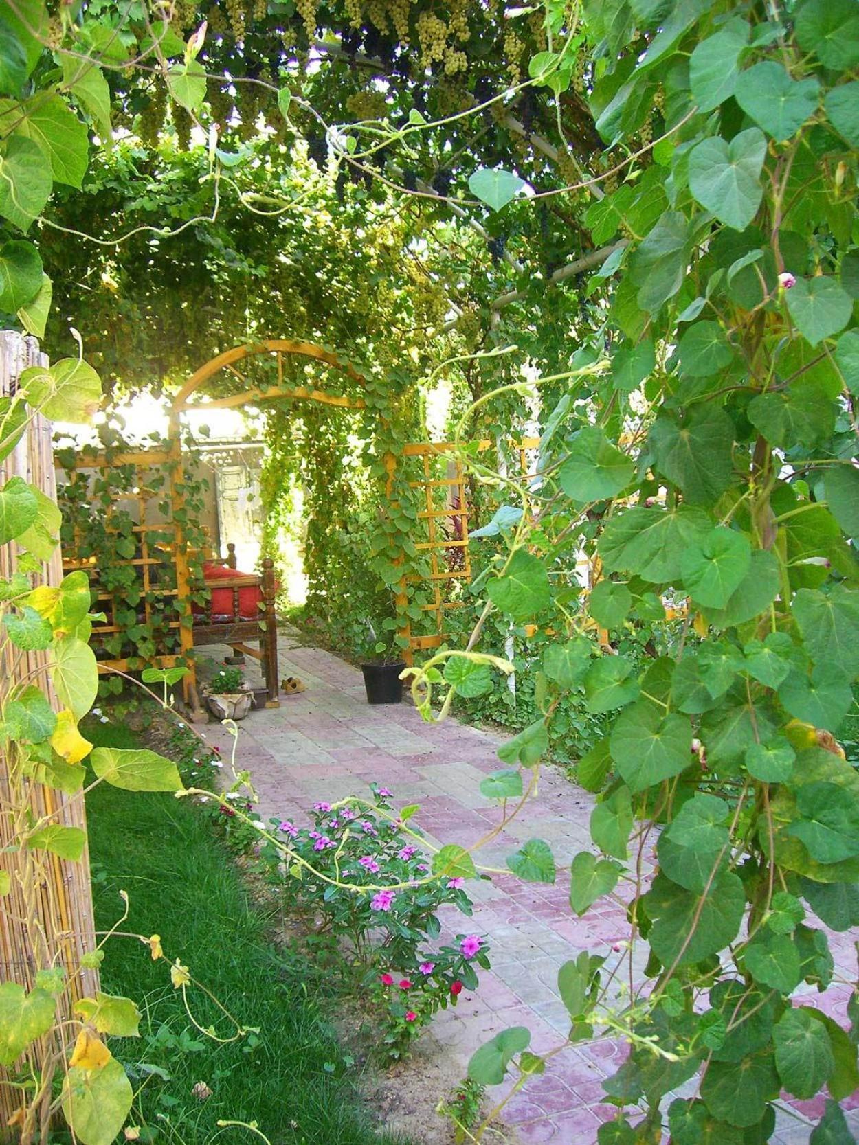 Jahongir Bed and Breakfast Σαμαρκάνδη Εξωτερικό φωτογραφία