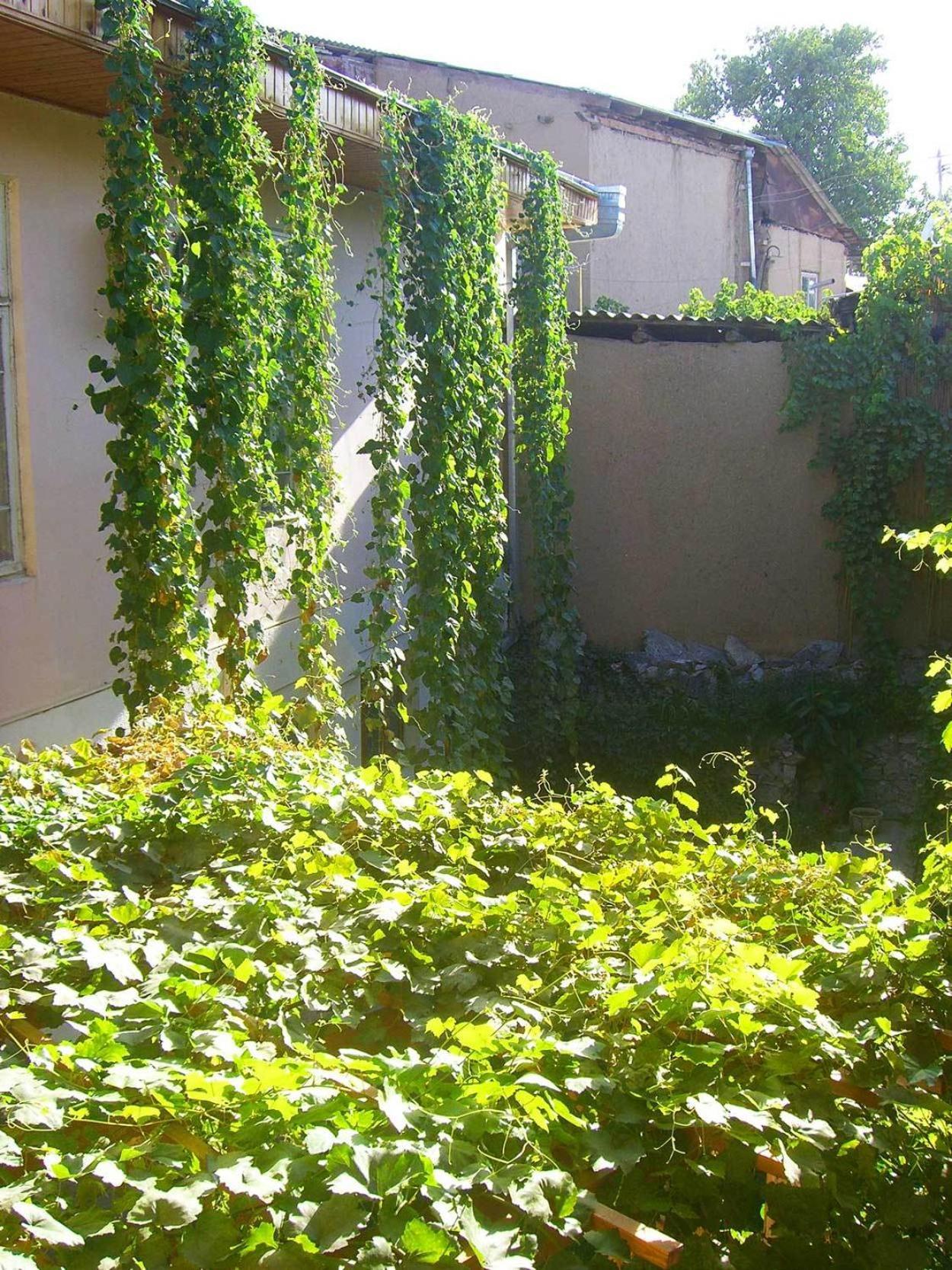 Jahongir Bed and Breakfast Σαμαρκάνδη Εξωτερικό φωτογραφία
