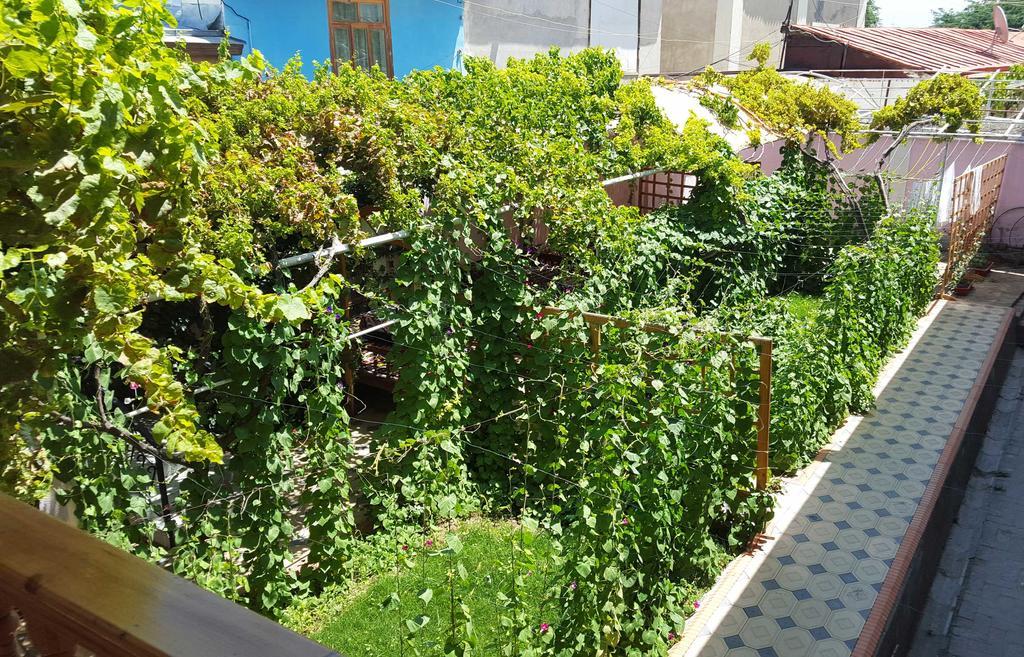 Jahongir Bed and Breakfast Σαμαρκάνδη Εξωτερικό φωτογραφία