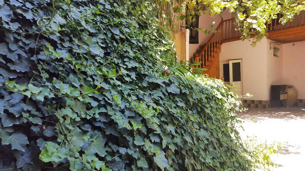 Jahongir Bed and Breakfast Σαμαρκάνδη Εξωτερικό φωτογραφία